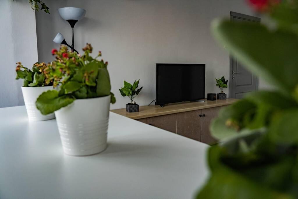Modern 1 Bedroom Apartment In Bucharest Center! Kültér fotó